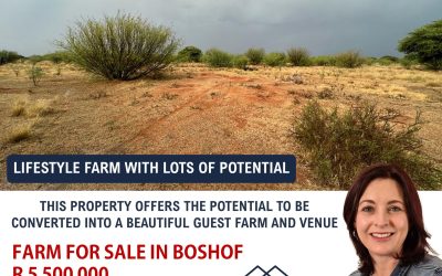 LIFESTYLE FARM WITH LOTS OF POTENTIAL! Situated in Boshof – OFFERED ON A SOLE AND EXCLUSIVE MANDATE